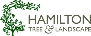 Hamilton Tree and Landscape website (opens in new tab)